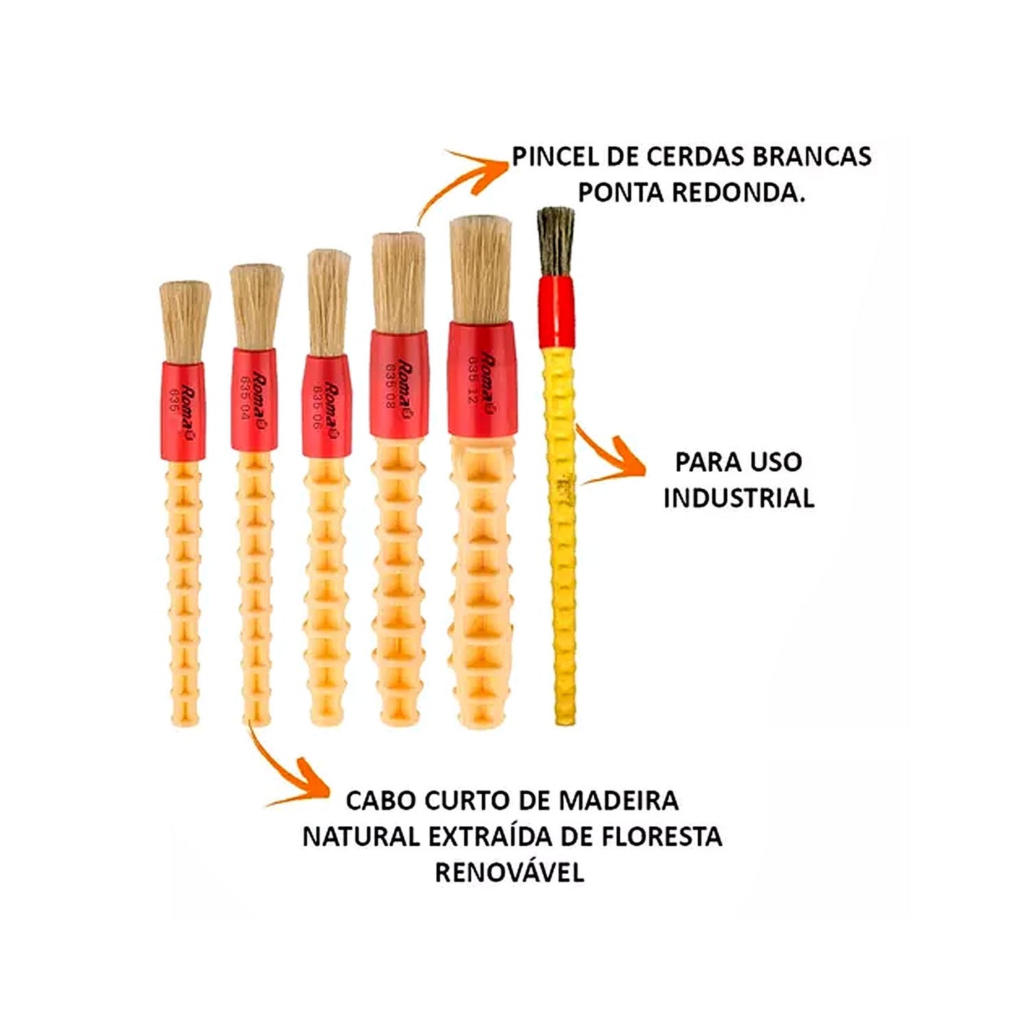 Roma Automotive Detailing Brush Kit 6 Units Without Packaging