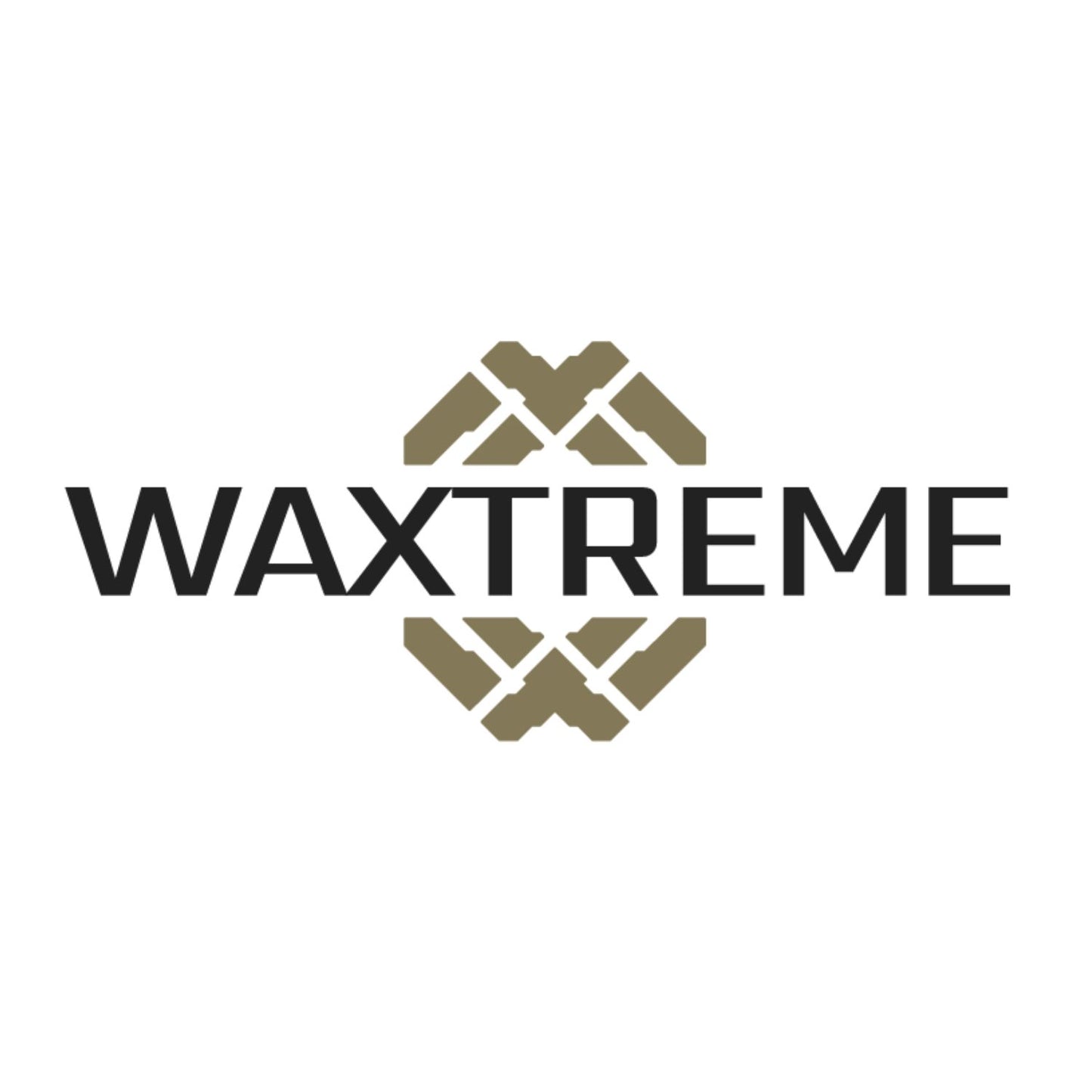 V-floc 500ml e Spell 500ml Vonixx + luva Zacs + Pano Detailer 37x57 + Prizm e Pincel N6